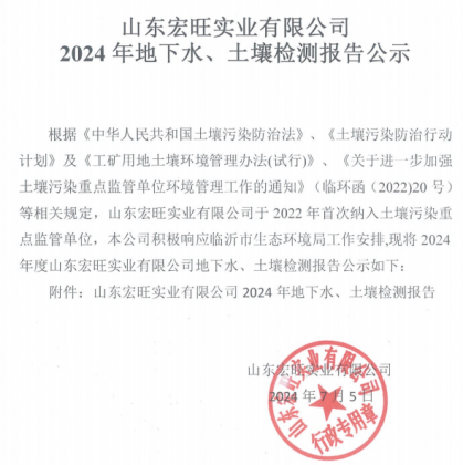 山东宏旺实业有限公司2024年地下水、土壤检测报告